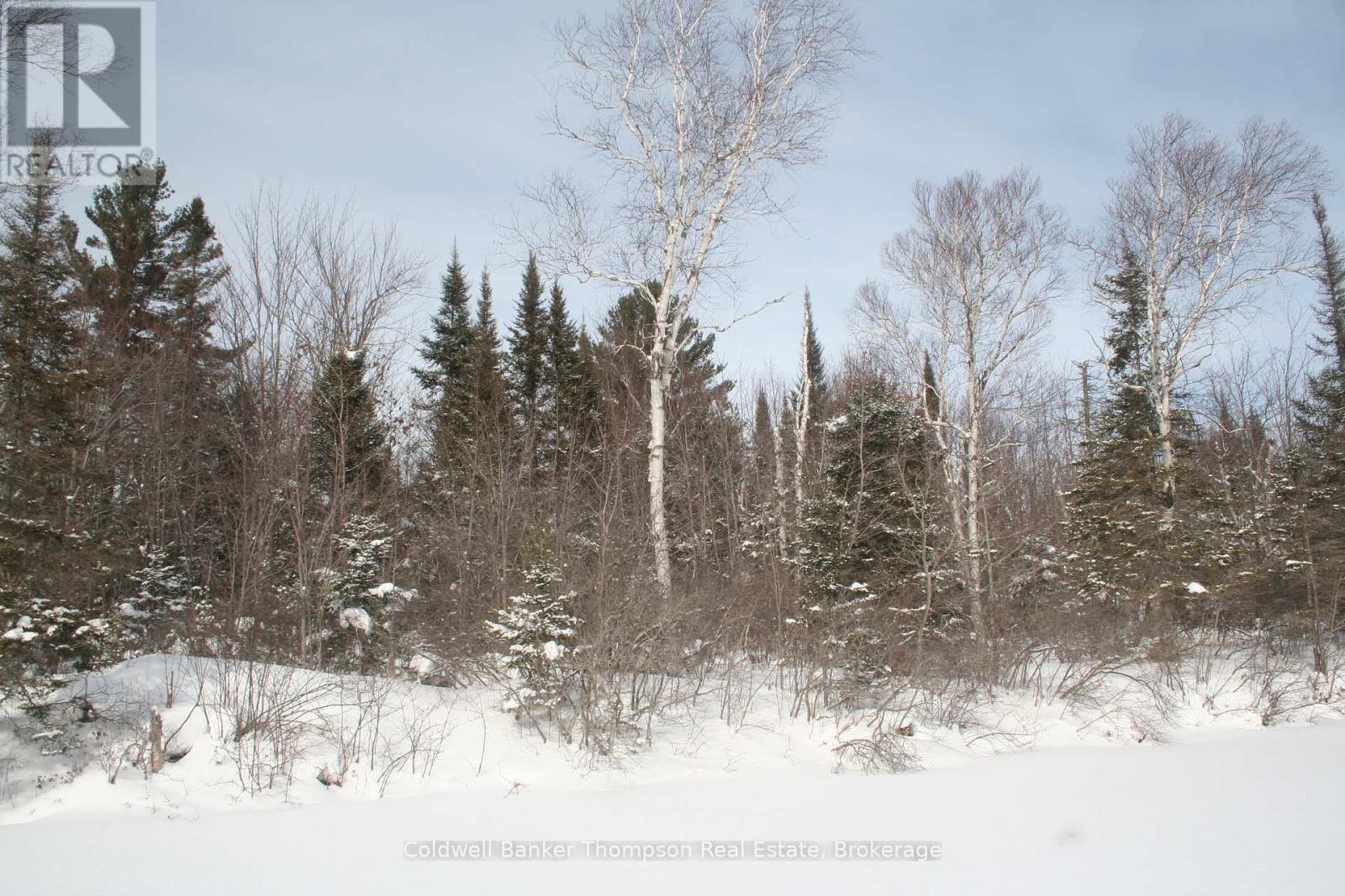 0 Beaver Lane, Nipissing, Ontario  P0H 1W0 - Photo 18 - X12825848
