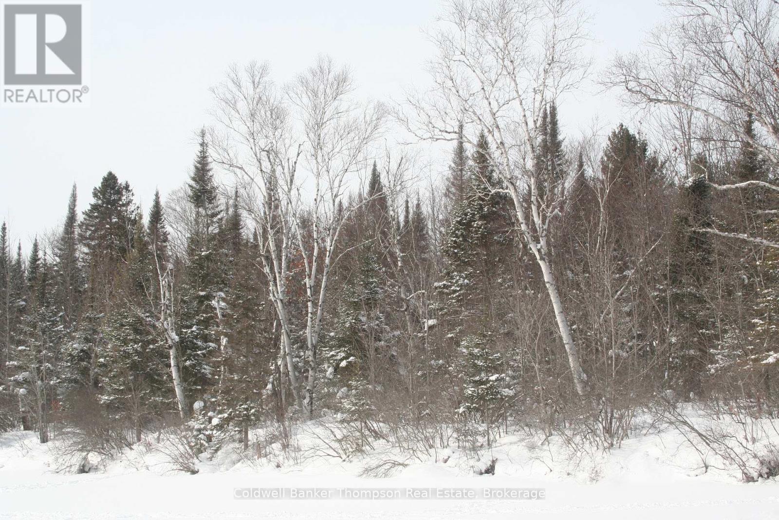 0 Beaver Lane, Nipissing, Ontario  P0H 1W0 - Photo 21 - X12825848
