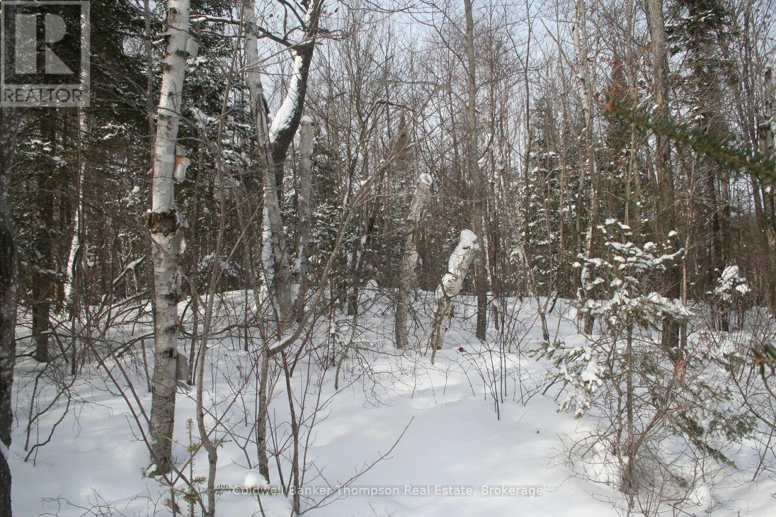 0 Beaver Lane, Nipissing, Ontario  P0H 1W0 - Photo 27 - X12825848
