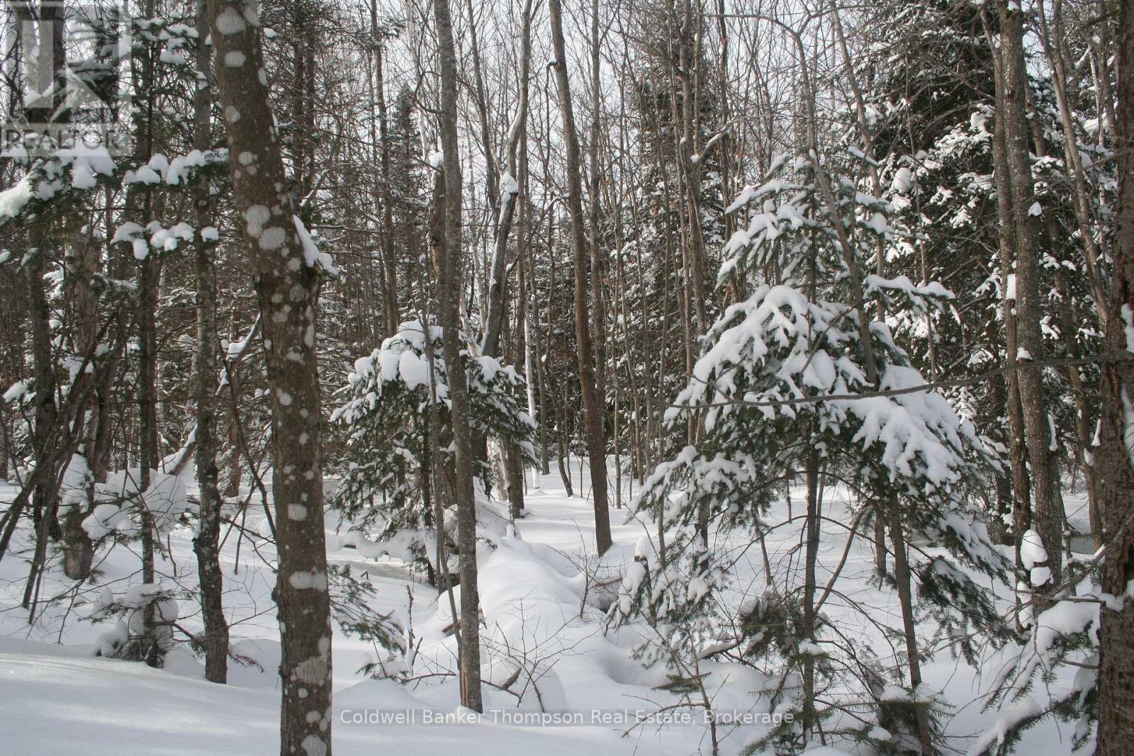 0 Beaver Lane, Nipissing, Ontario  P0H 1W0 - Photo 28 - X12825848