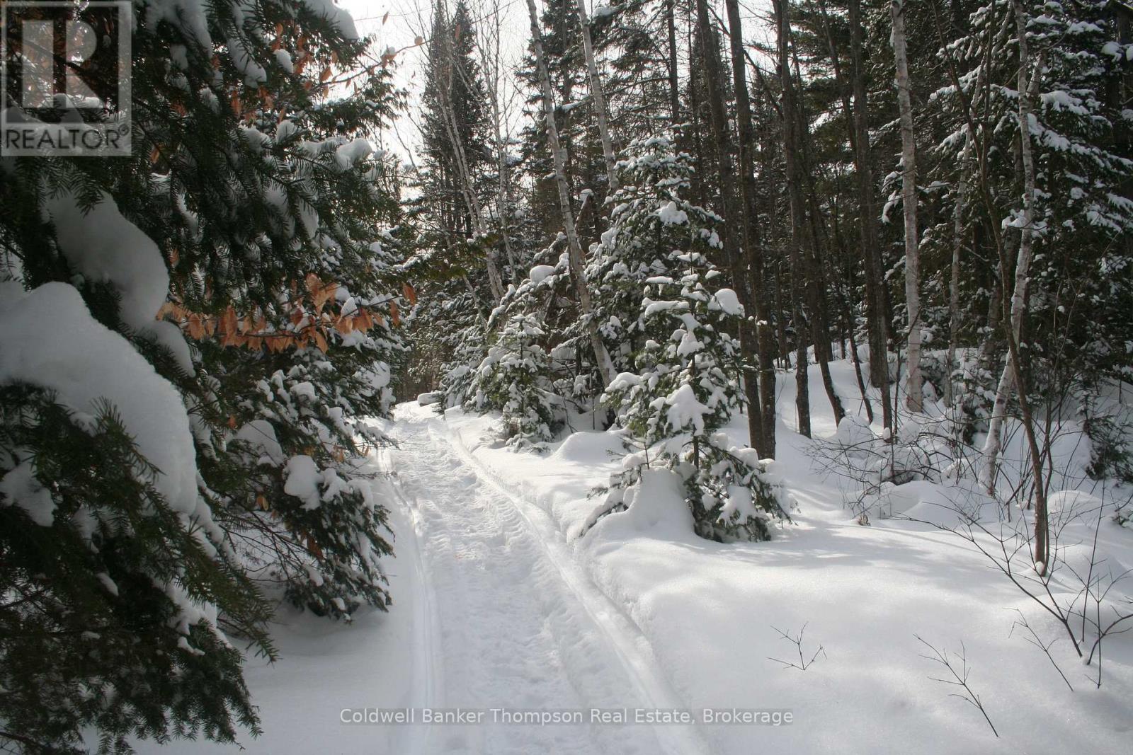 0 Beaver Lane, Nipissing, Ontario  P0H 1W0 - Photo 29 - X12825848