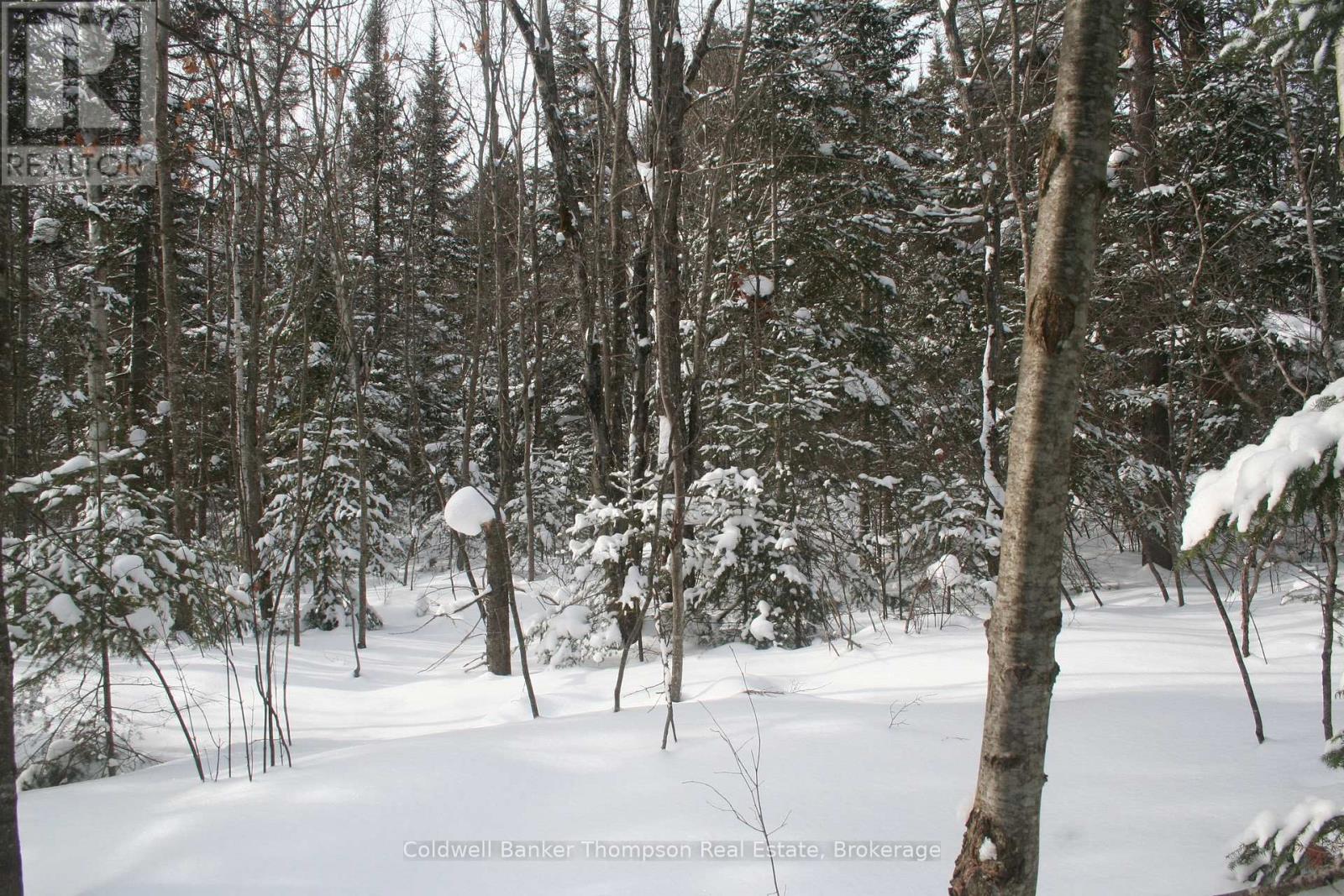 0 Beaver Lane, Nipissing, Ontario  P0H 1W0 - Photo 31 - X12825848