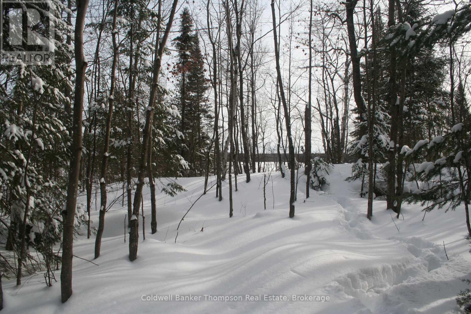 0 Beaver Lane, Nipissing, Ontario  P0H 1W0 - Photo 34 - X12825848