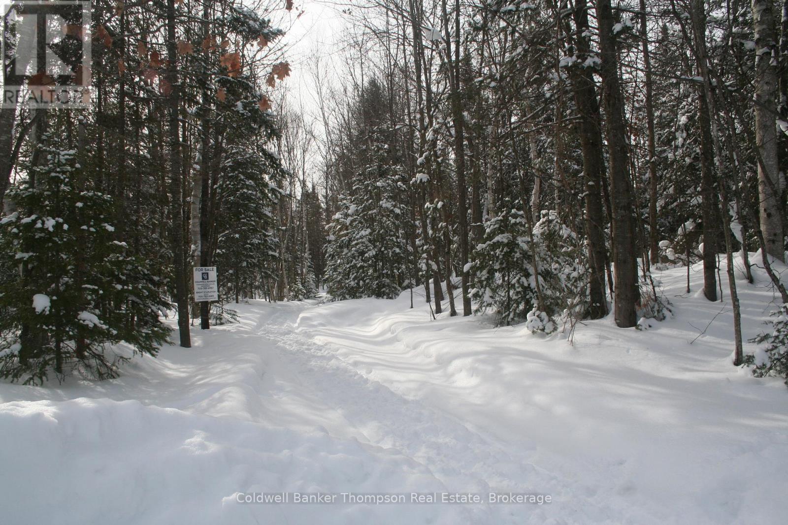 0 Beaver Lane, Nipissing, Ontario  P0H 1W0 - Photo 35 - X12825848