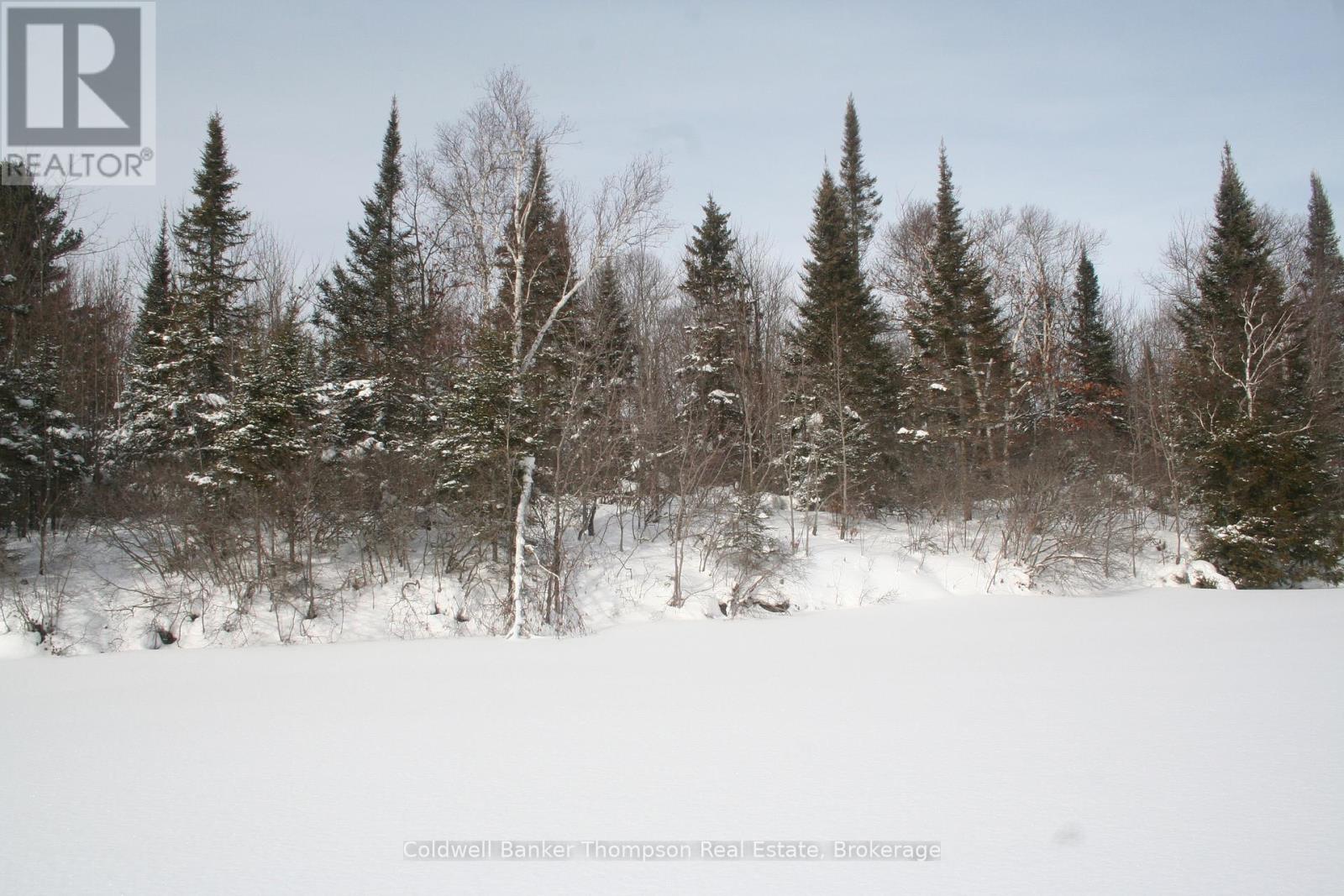0 Beaver Lane, Nipissing, Ontario  P0H 1W0 - Photo 36 - X12825848