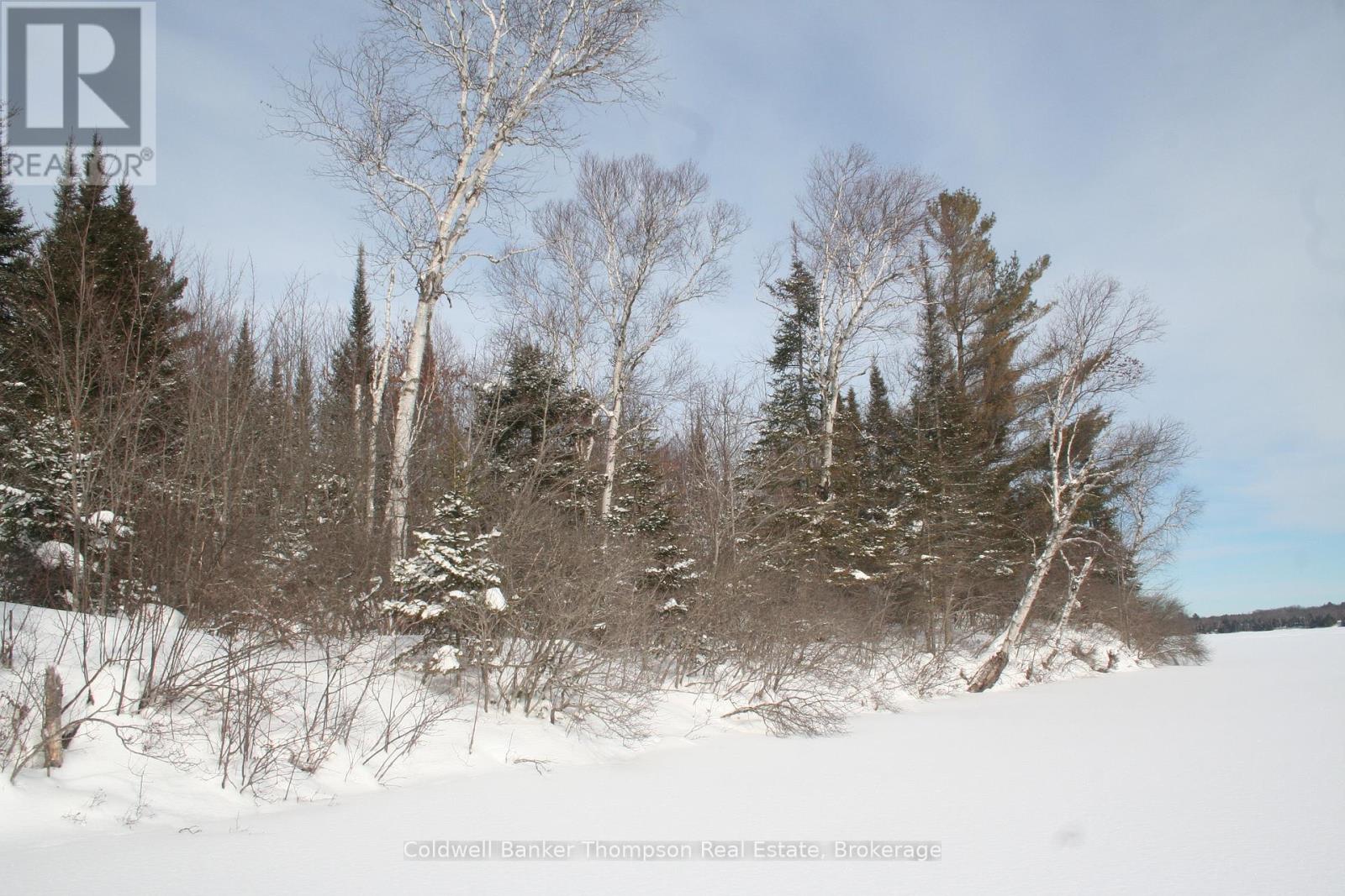 0 Beaver Lane, Nipissing, Ontario  P0H 1W0 - Photo 37 - X12825848