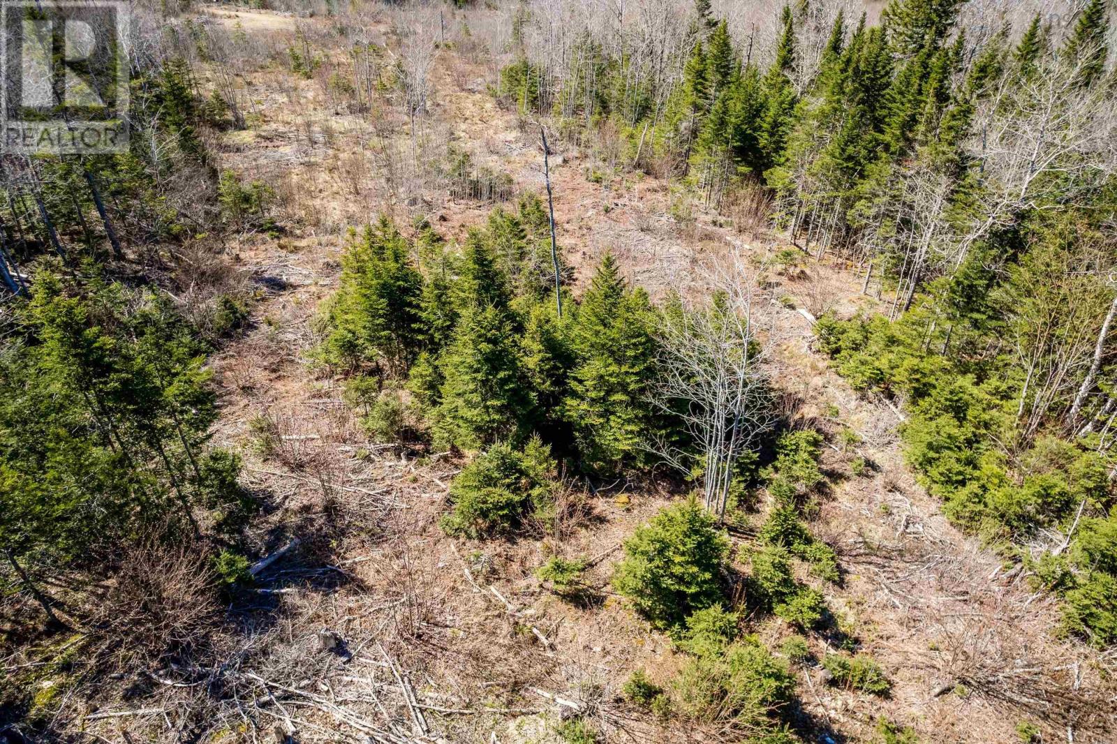 Lot A Aylesford Road, Lake Paul, Nova Scotia  B0P 1C0 - Photo 15 - 202512766