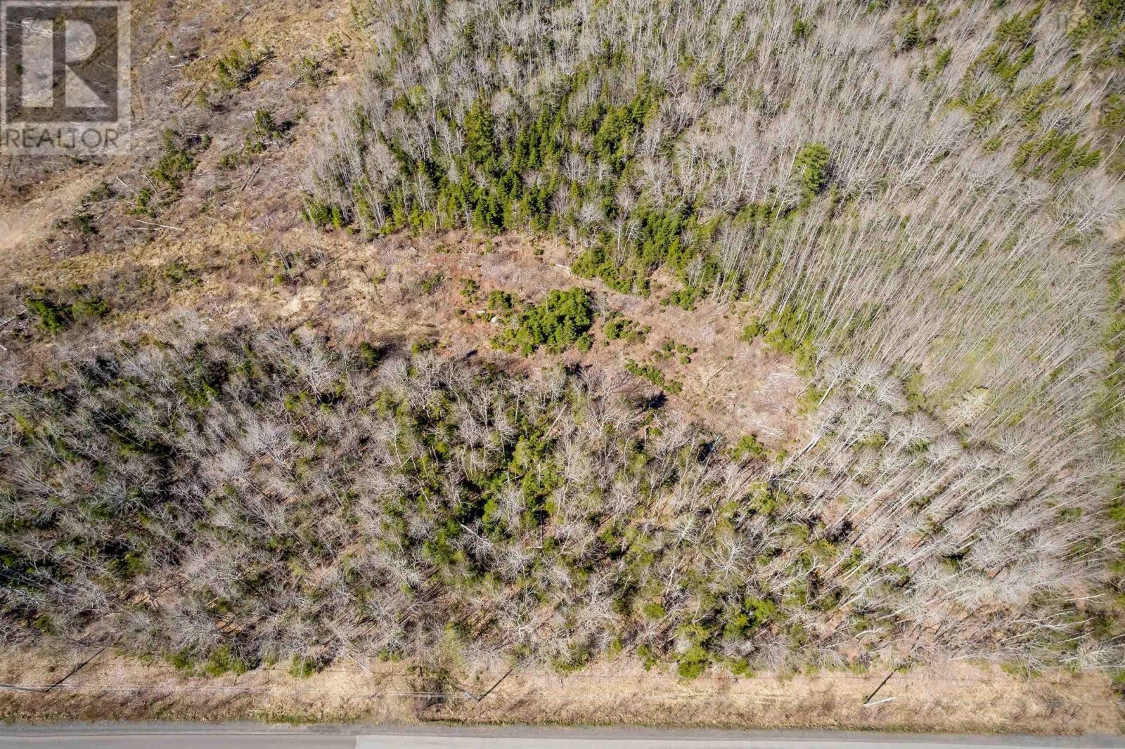 Lot A Aylesford Road, Lake Paul, Nova Scotia  B0P 1C0 - Photo 7 - 202512766