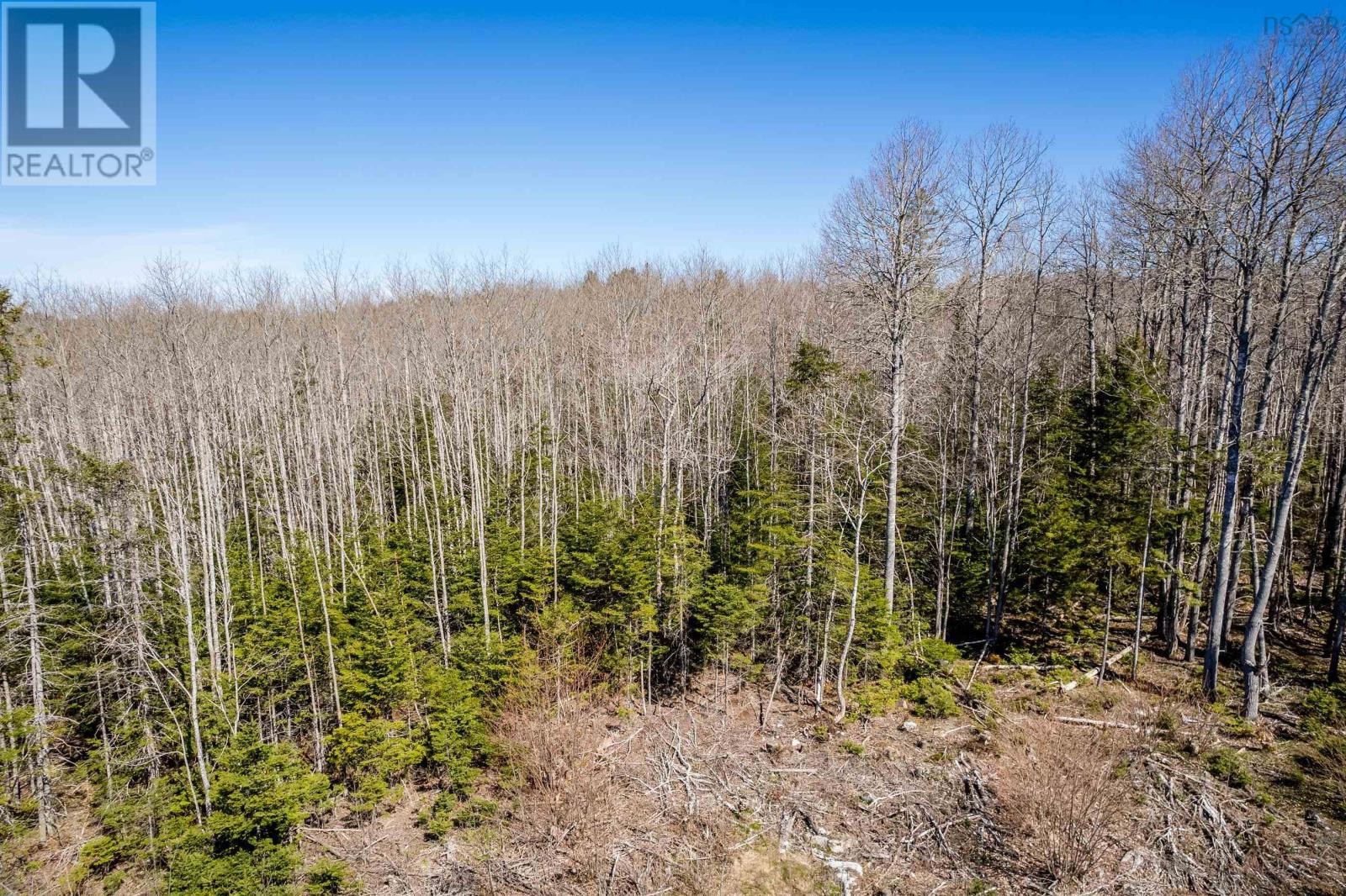 Lot A Aylesford Road, Lake Paul, Nova Scotia  B0P 1C0 - Photo 16 - 202512766