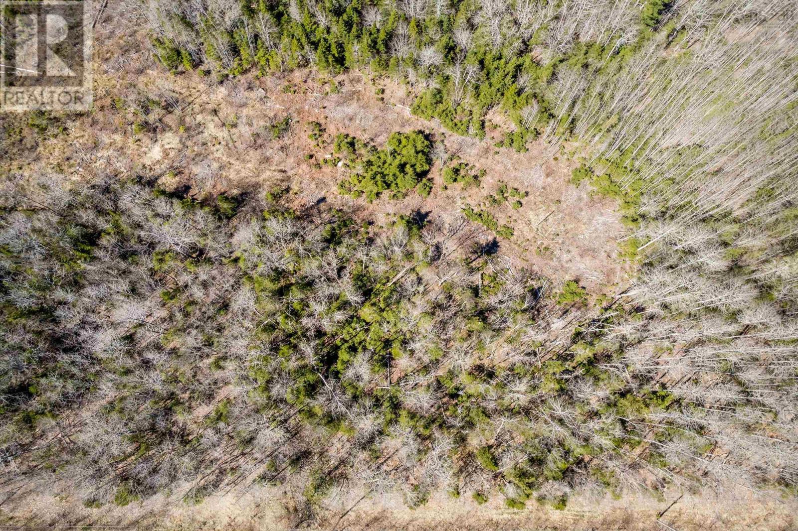 Lot A Aylesford Road, Lake Paul, Nova Scotia  B0P 1C0 - Photo 18 - 202512766