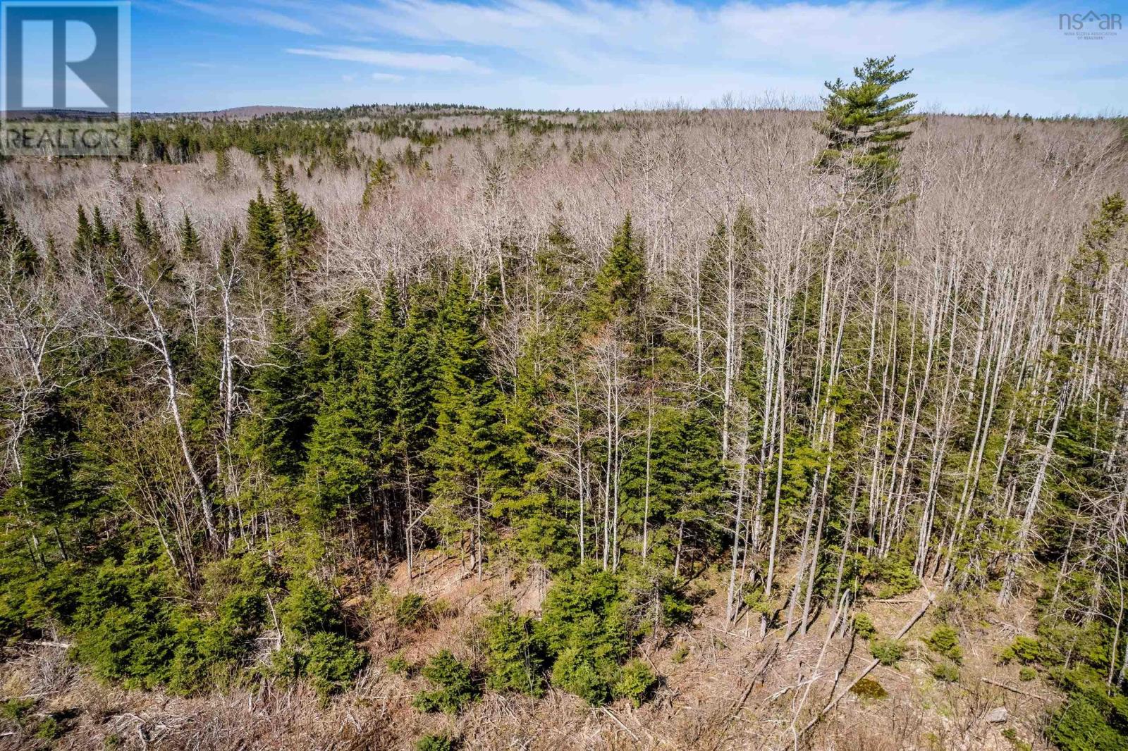 Lot A Aylesford Road, Lake Paul, Nova Scotia  B0P 1C0 - Photo 14 - 202512766