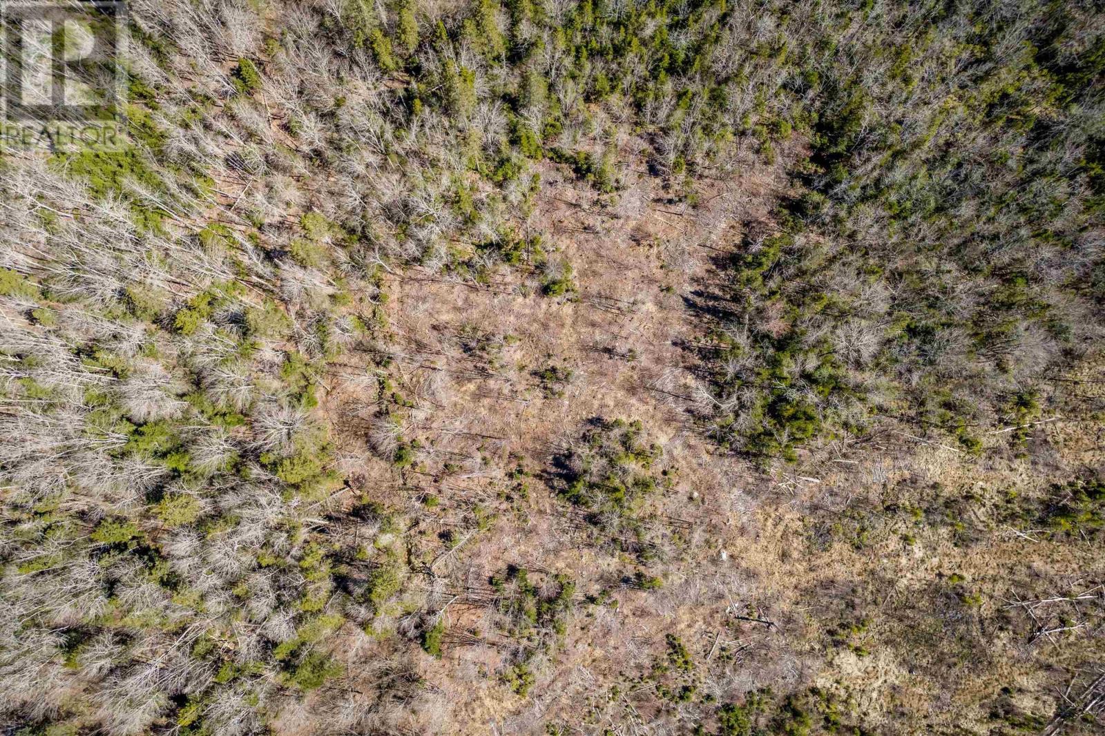 Lot A Aylesford Road, Lake Paul, Nova Scotia  B0P 1C0 - Photo 6 - 202512766
