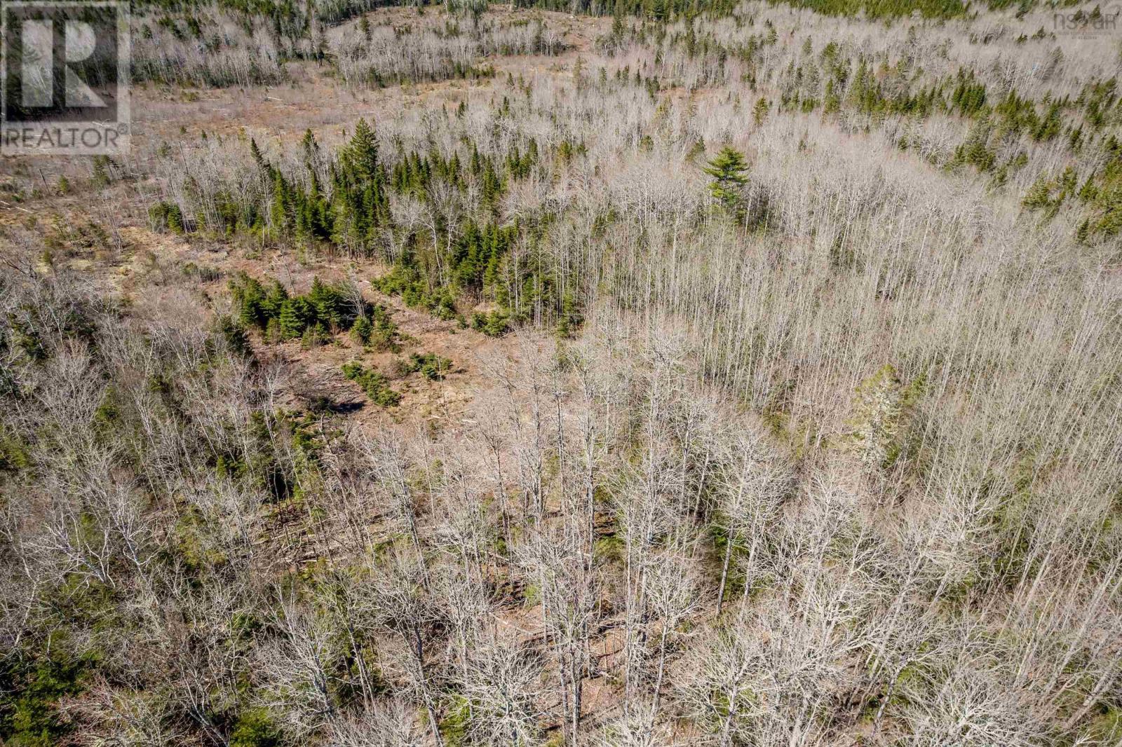 Lot A Aylesford Road, Lake Paul, Nova Scotia  B0P 1C0 - Photo 12 - 202512766
