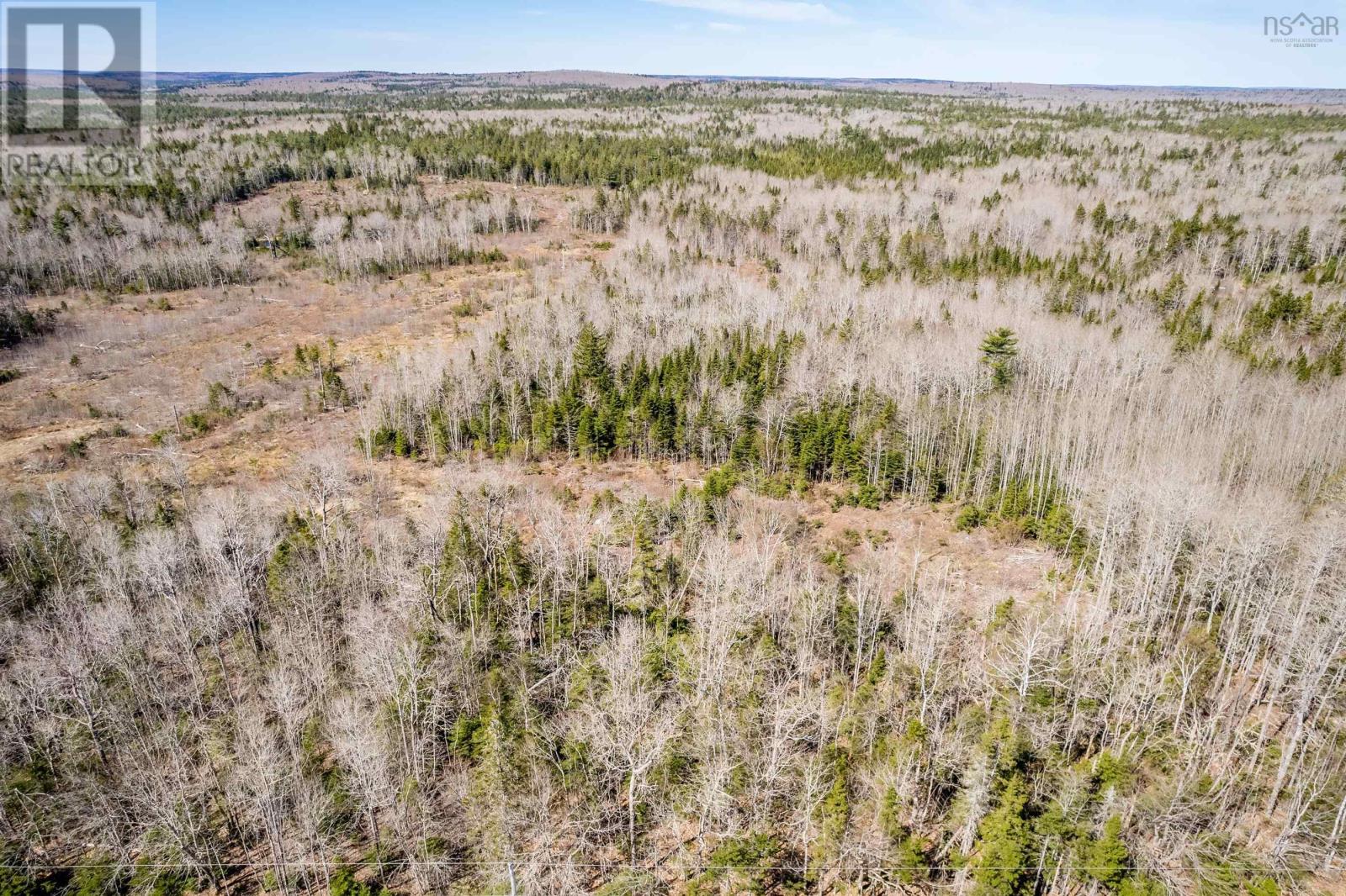 Lot A Aylesford Road, Lake Paul, Nova Scotia  B0P 1C0 - Photo 8 - 202512766