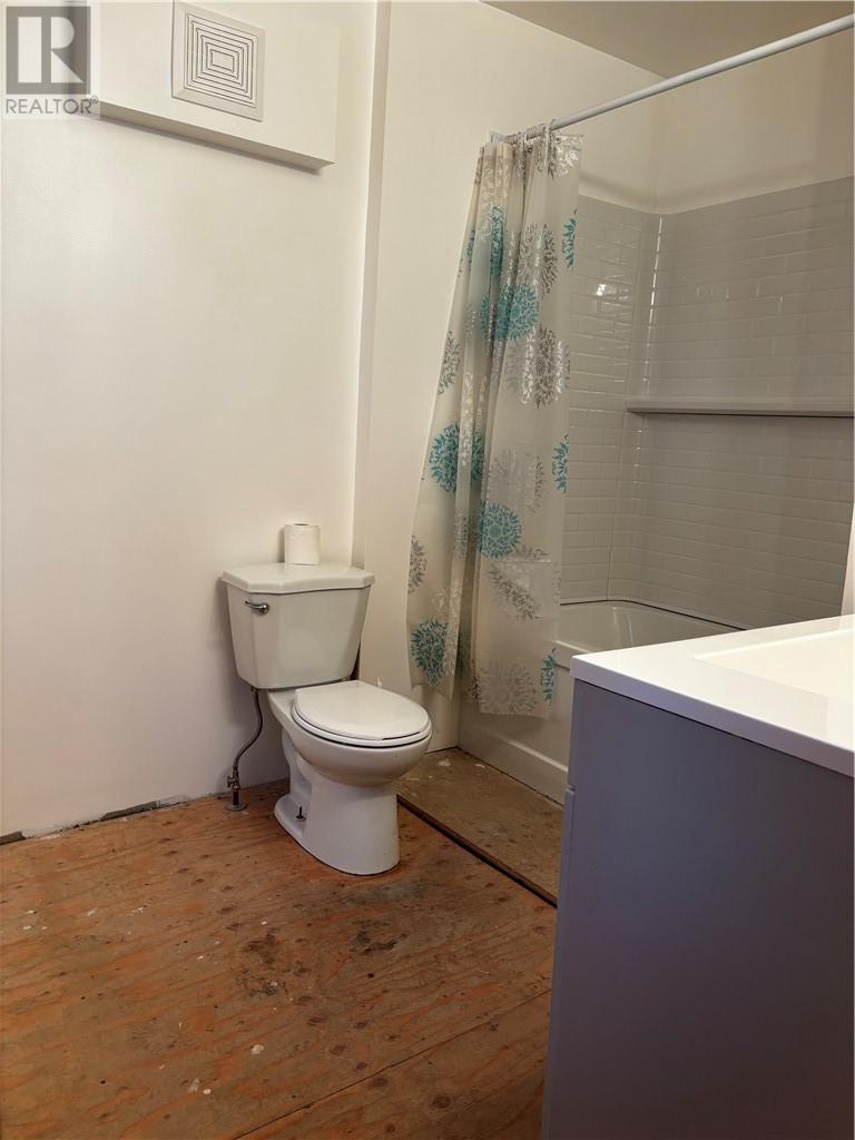 317 Mountain Street, Greater Sudbury, Ontario  P3B 2T8 - Photo 10 - 2126601