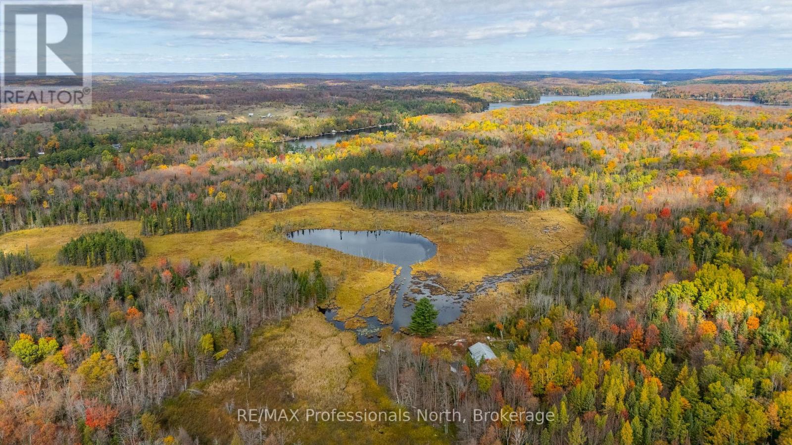 2179 South Lake Road, Minden Hills, Ontario K0M 2K0 - Photo 37 - X12825938