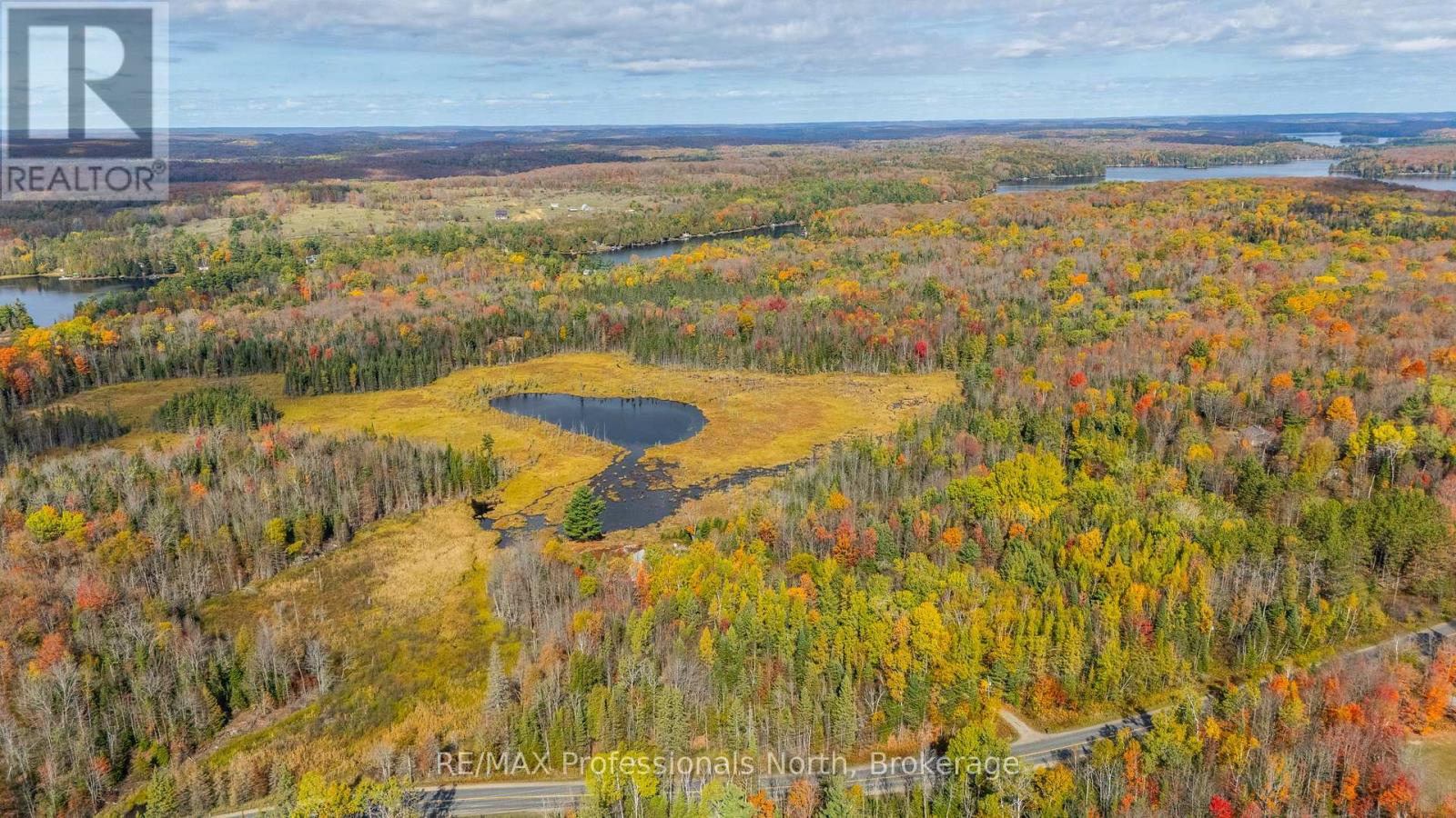 2179 South Lake Road, Minden Hills, Ontario K0M 2K0 - Photo 39 - X12825938