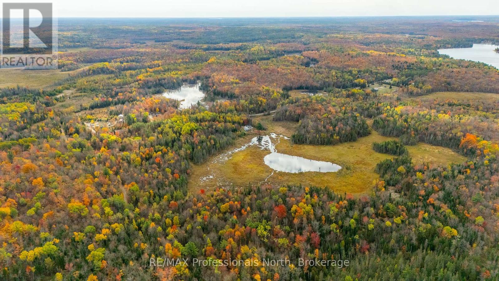 2179 South Lake Road, Minden Hills, Ontario K0M 2K0 - Photo 41 - X12825938