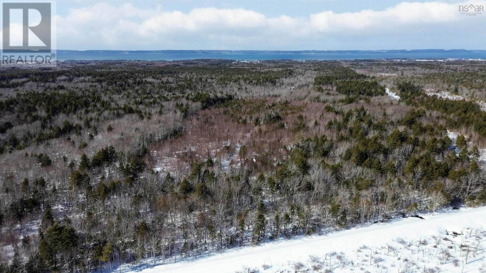 Lot Highway 1, Grosses Coques, Nova Scotia  B0W 1M0 - Photo 11 - 202603473