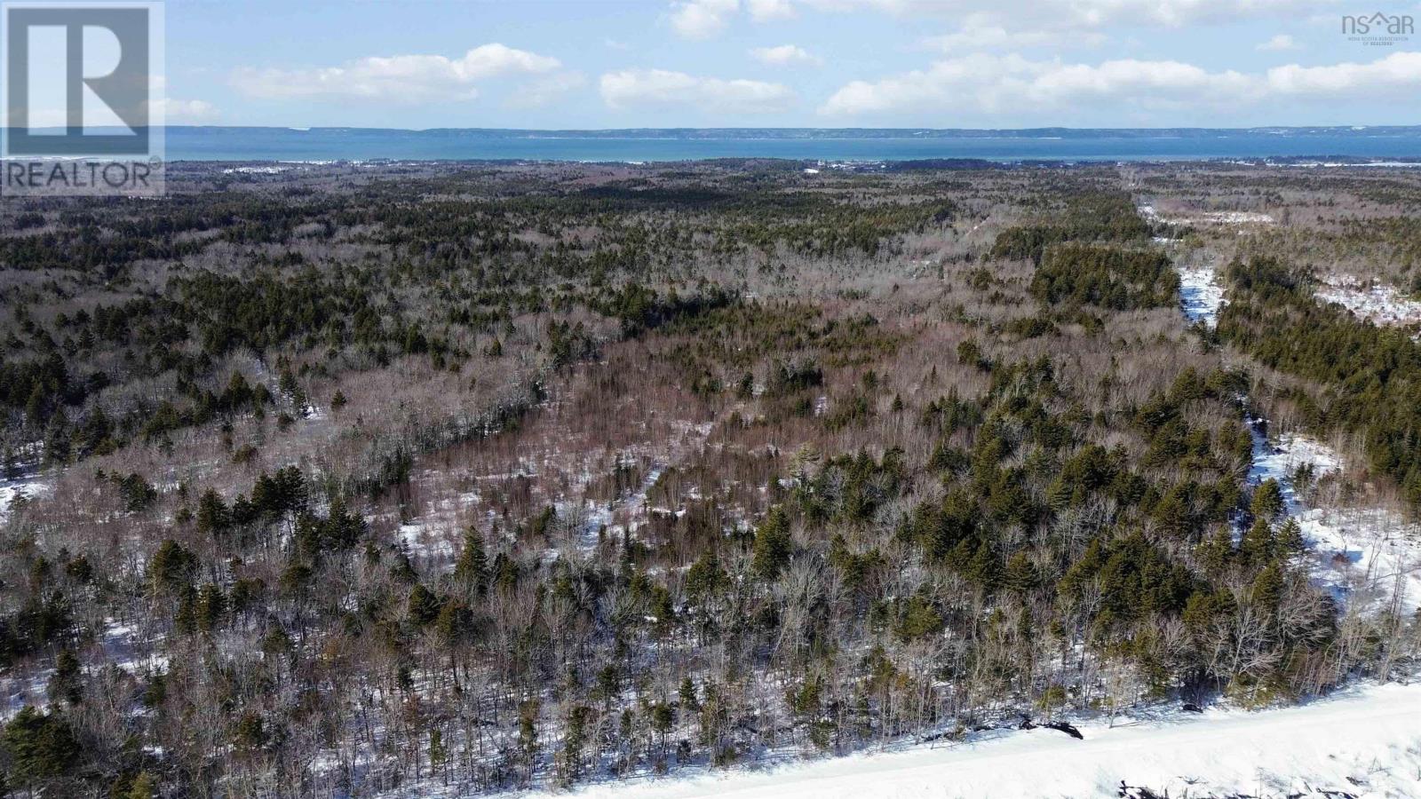 Lot Highway 1, Grosses Coques, Nova Scotia  B0W 1M0 - Photo 3 - 202603473