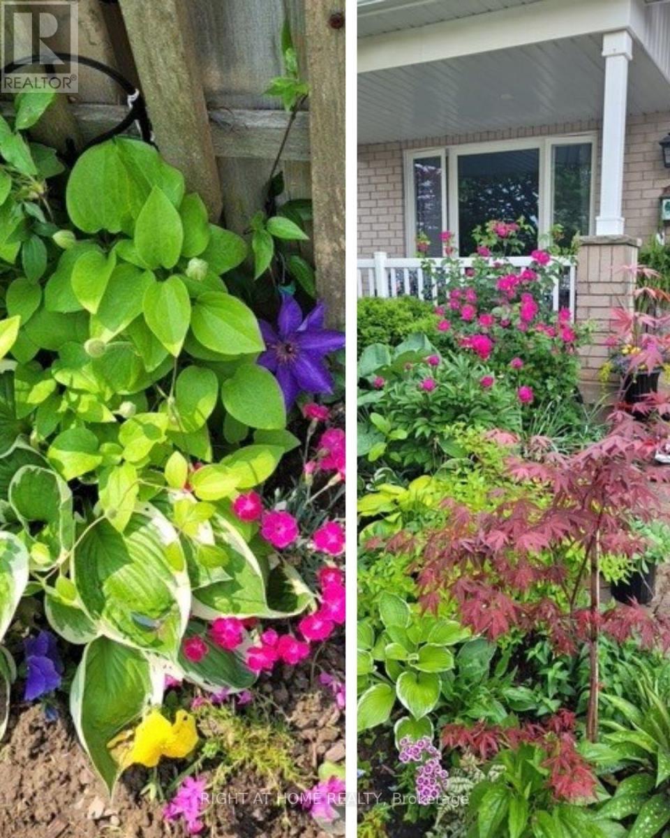 42 Webb Avenue, Brantford, Ontario  N3T 6S6 - Photo 50 - X12826050