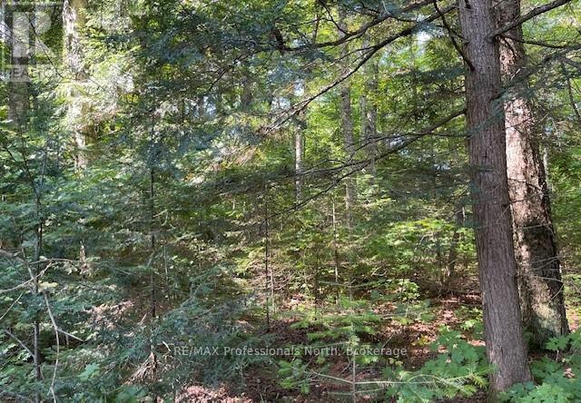 1448-2 West Oxbow Lake Road, Lake Of Bays, Ontario P1H 2J6 - Photo 11 - X12826254