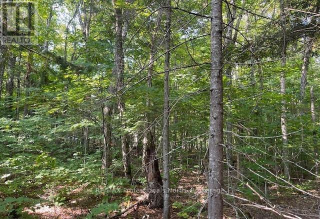 1448-2 West Oxbow Lake Road, Lake Of Bays, Ontario P1H 2J6 - Photo 12 - X12826254