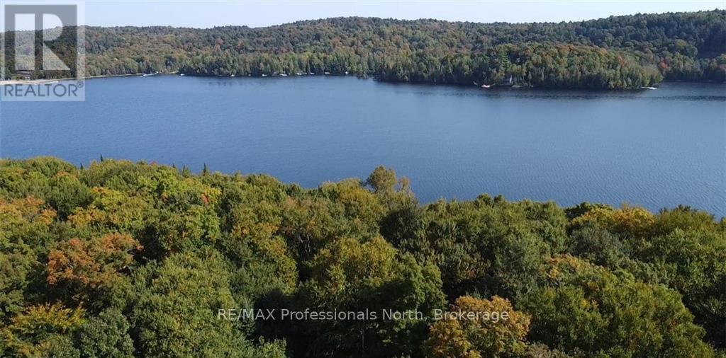 1448-2 West Oxbow Lake Road, Lake Of Bays, Ontario P1H 2J6 - Photo 15 - X12826254