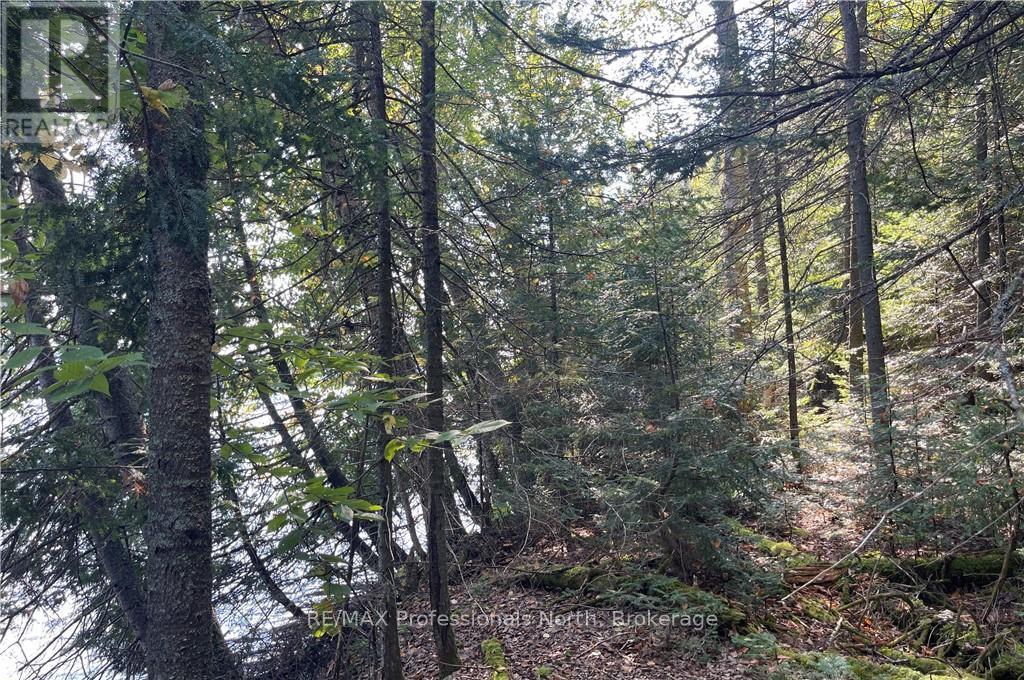 1448-2 West Oxbow Lake Road, Lake Of Bays, Ontario P1H 2J6 - Photo 17 - X12826254