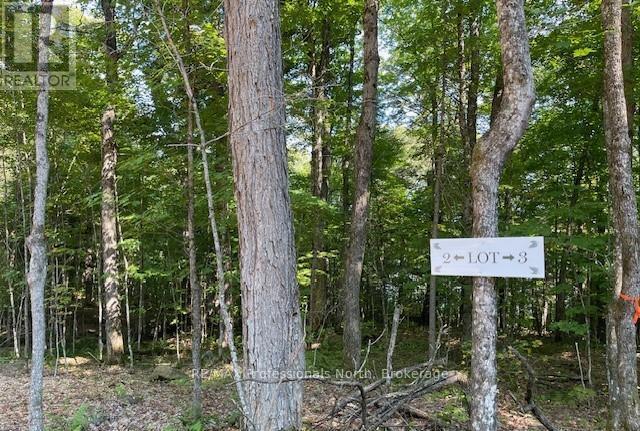 1448-2 West Oxbow Lake Road, Lake Of Bays, Ontario P1H 2J6 - Photo 7 - X12826254