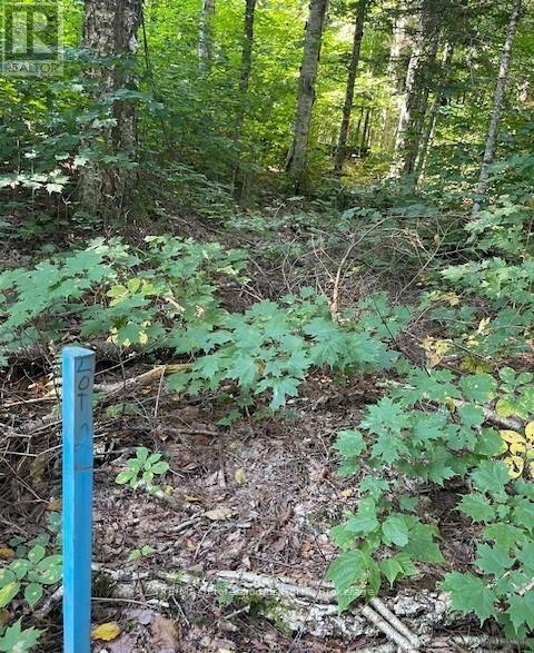 1448-2 West Oxbow Lake Road, Lake Of Bays, Ontario P1H 2J6 - Photo 8 - X12826254