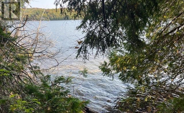 1448-2 West Oxbow Lake Road, Lake Of Bays, Ontario P1H 2J6 - Photo 9 - X12826254