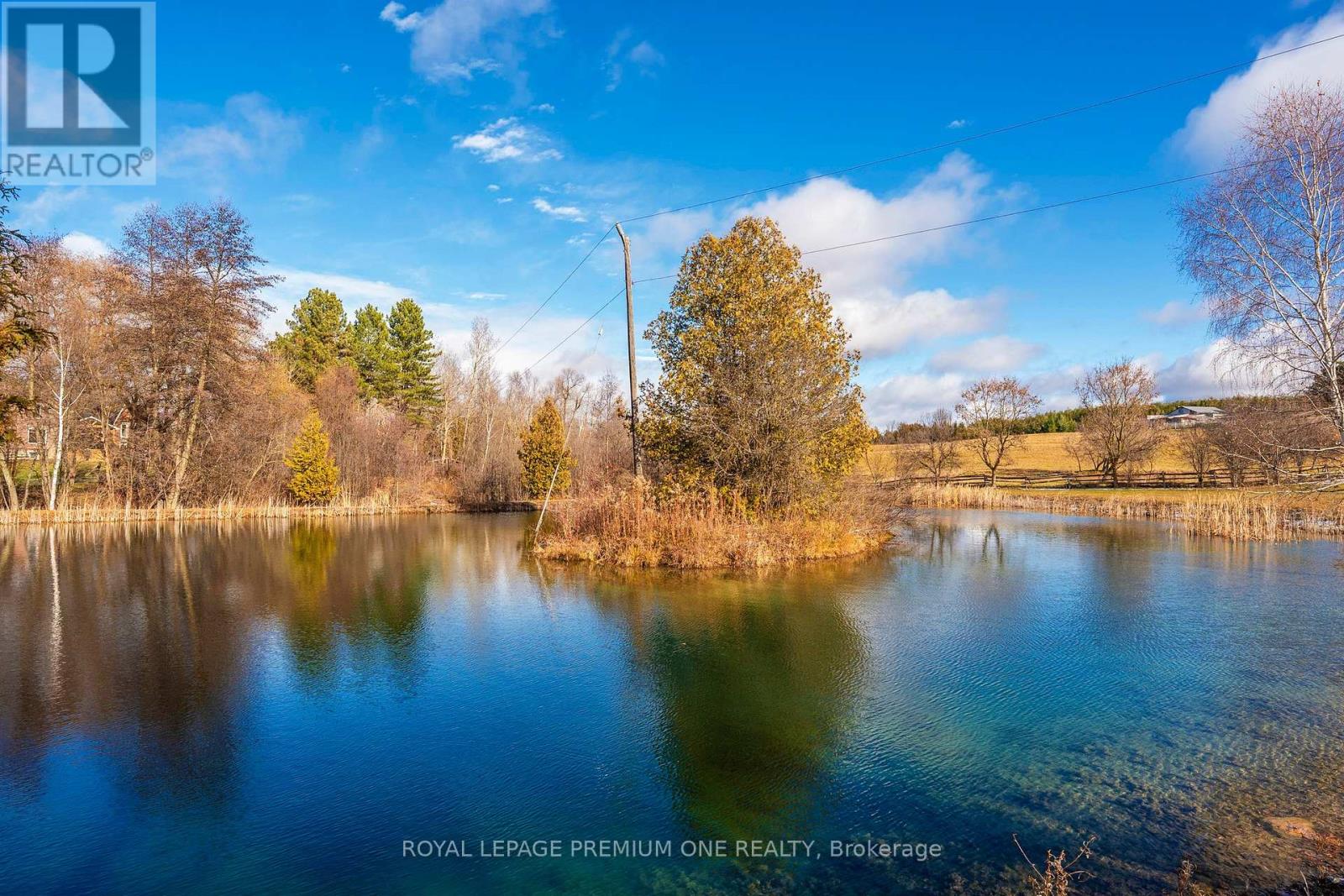 7590 19th Side Road, King, Ontario  L0G 1T0 - Photo 40 - N12826212