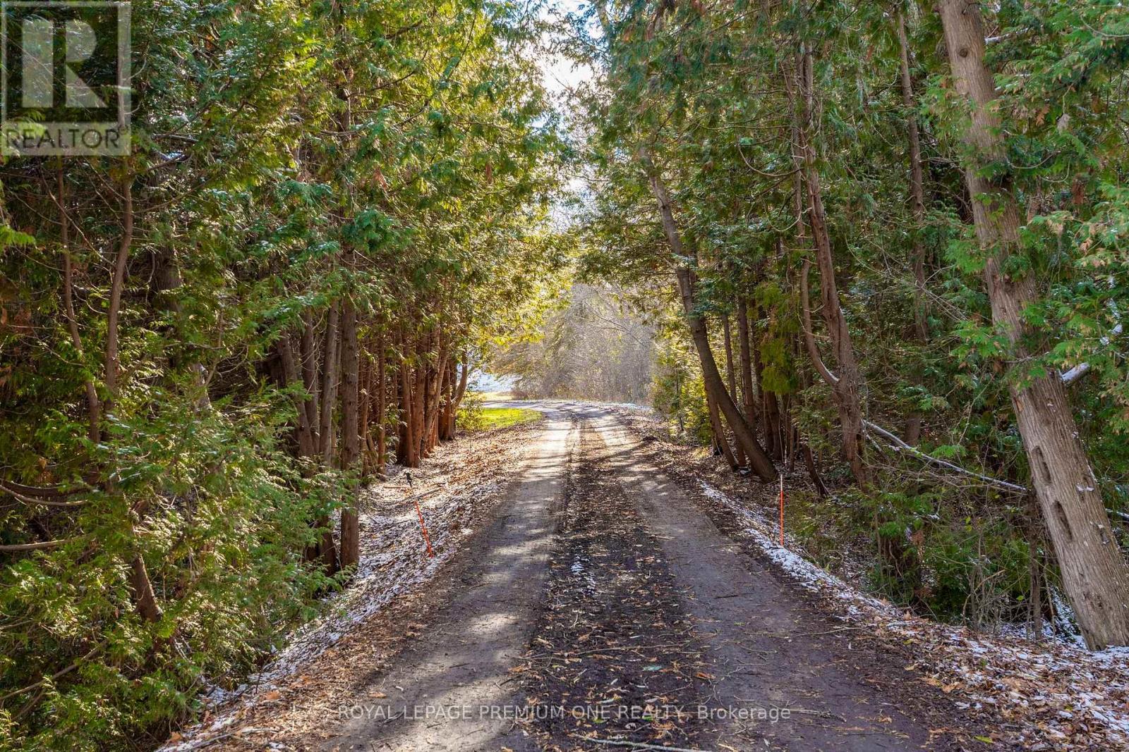 7590 19th Side Road, King, Ontario  L0G 1T0 - Photo 9 - N12826212