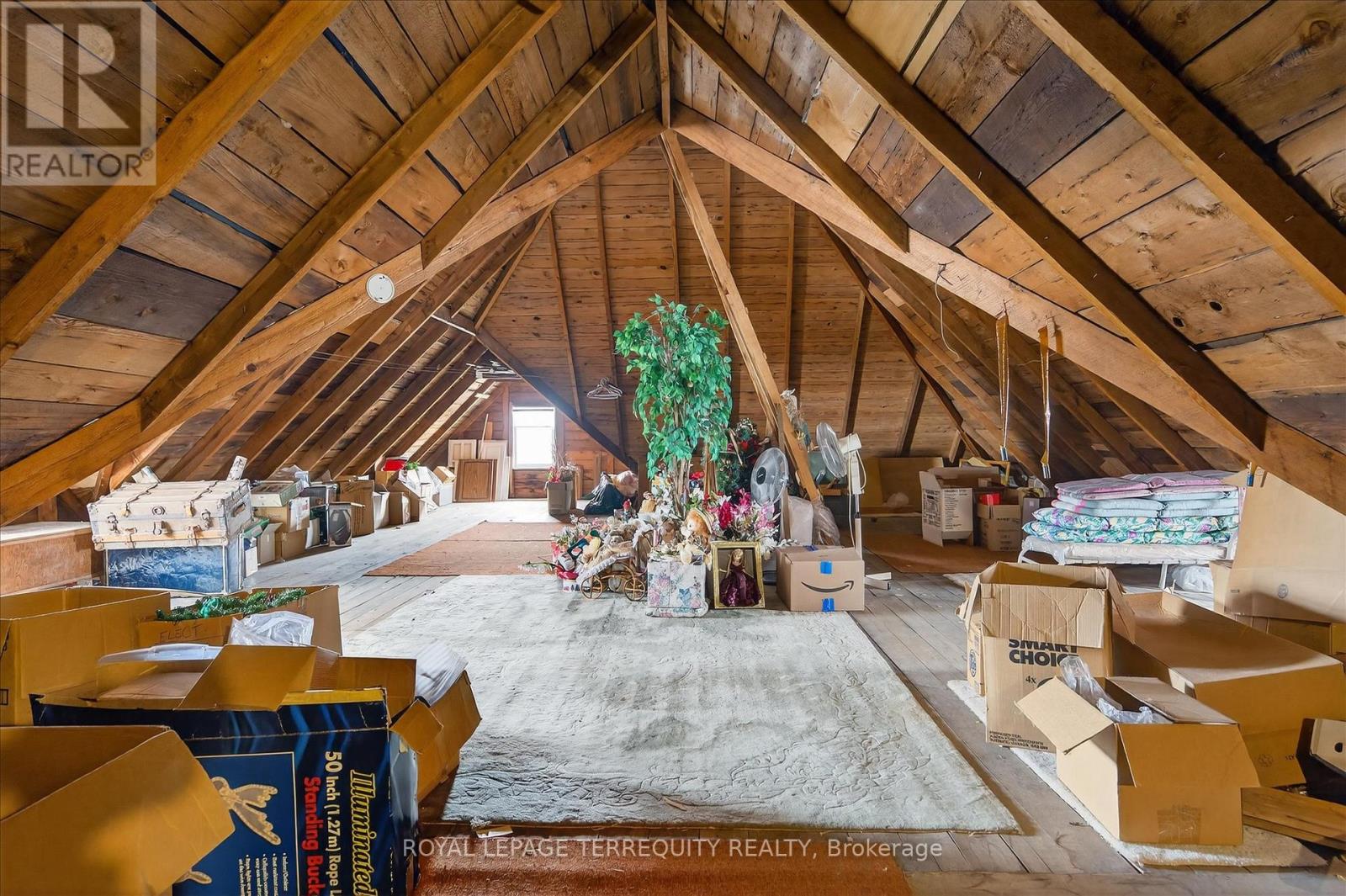 16 Booth Street S, Trent Hills, Ontario  K0L 1L0 - Photo 43 - X12826206