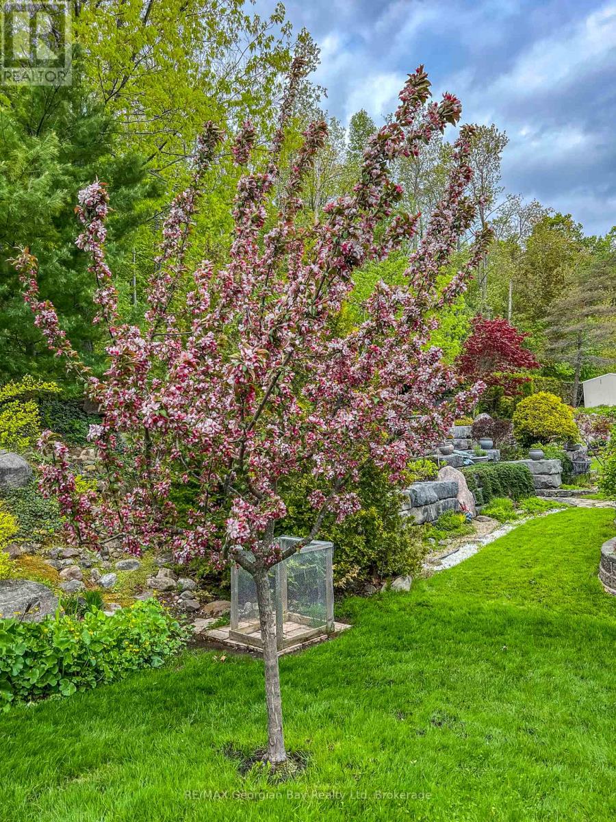 418 Aberdeen Boulevard, Midland, Ontario L4R 5L8 - Photo 38 - S12826526