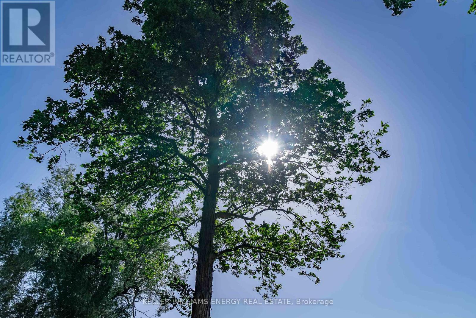 12570 Loyalist Parkway, Prince Edward County, Ontario  K0K 2T0 - Photo 21 - X12826452