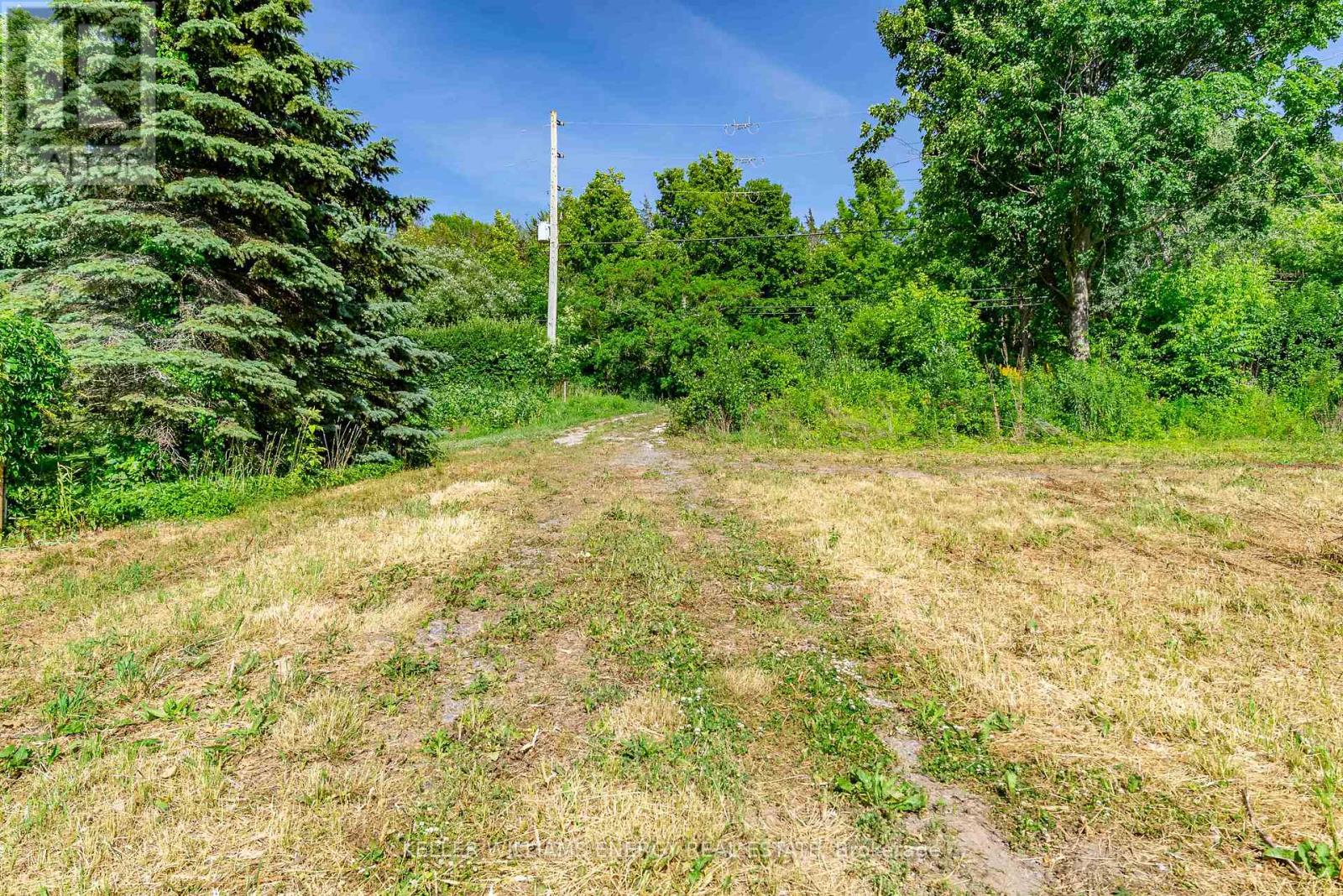 12570 Loyalist Parkway, Prince Edward County, Ontario  K0K 2T0 - Photo 27 - X12826452