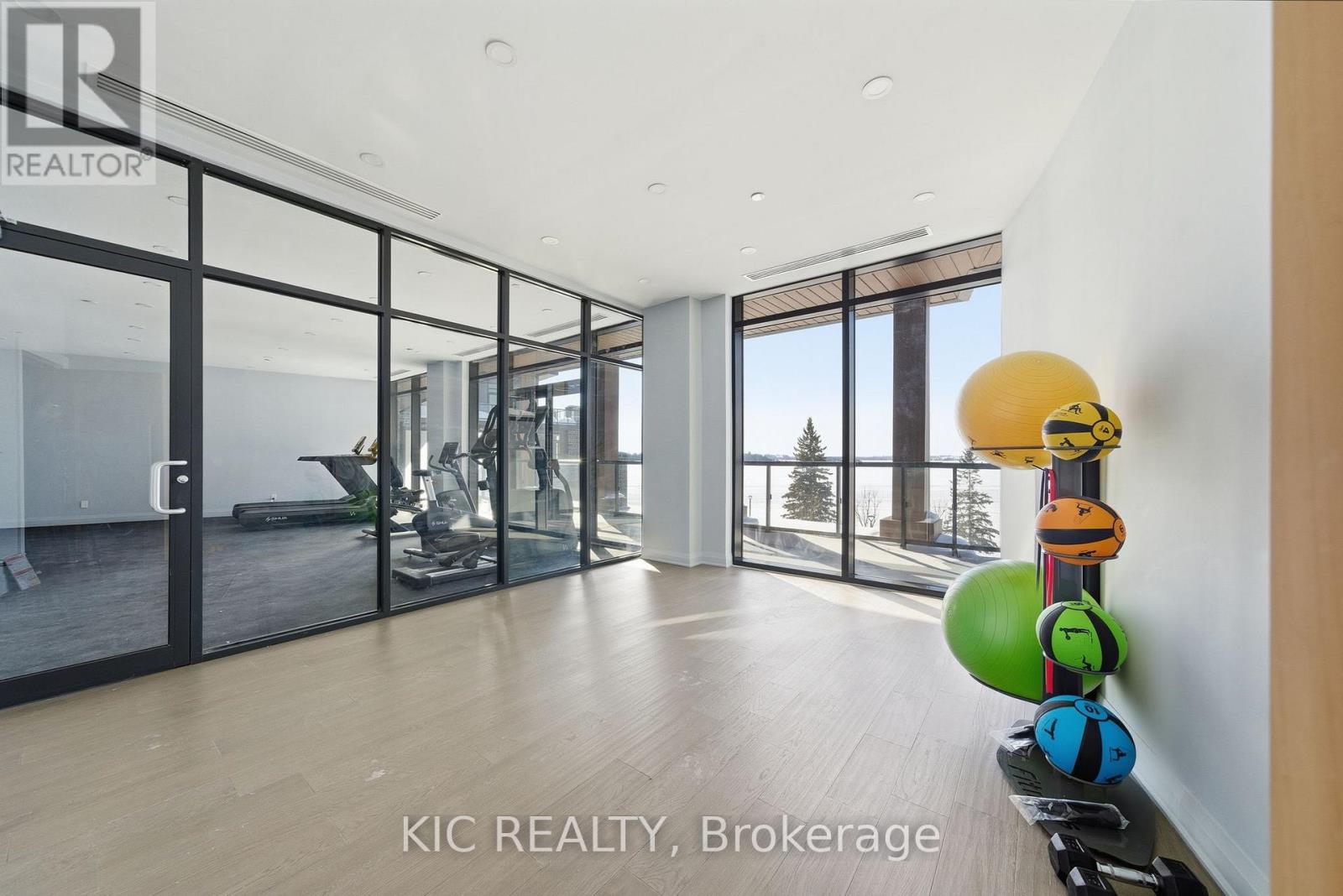 210 - 99 Louisa Street, Kawartha Lakes, Ontario  K0M 1N0 - Photo 35 - X12765326