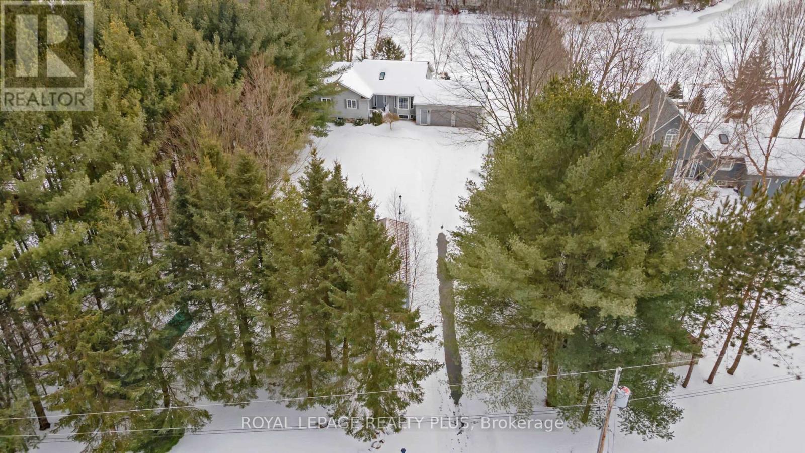 16 Black Bear Drive, Kawartha Lakes, Ontario  K0M 1N0 - Photo 50 - X12705266