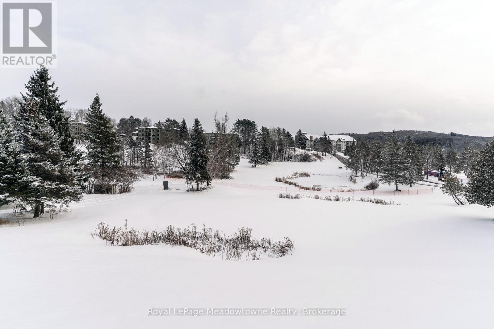 301 - 34 Deerhurst Greens Road, Huntsville, Ontario  P1H 1A9 - Photo 32 - X12612096