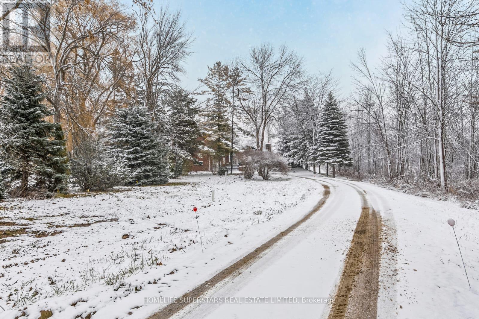 839 Hurontario Street, Collingwood, Ontario  L9Y 0G7 - Photo 2 - S12813376