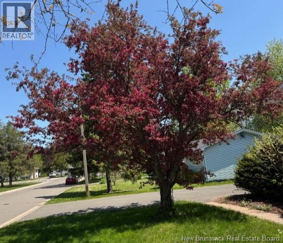 6 Killarney Road, Riverview, New Brunswick E1B 2Z5 - Photo 27 - NB134203