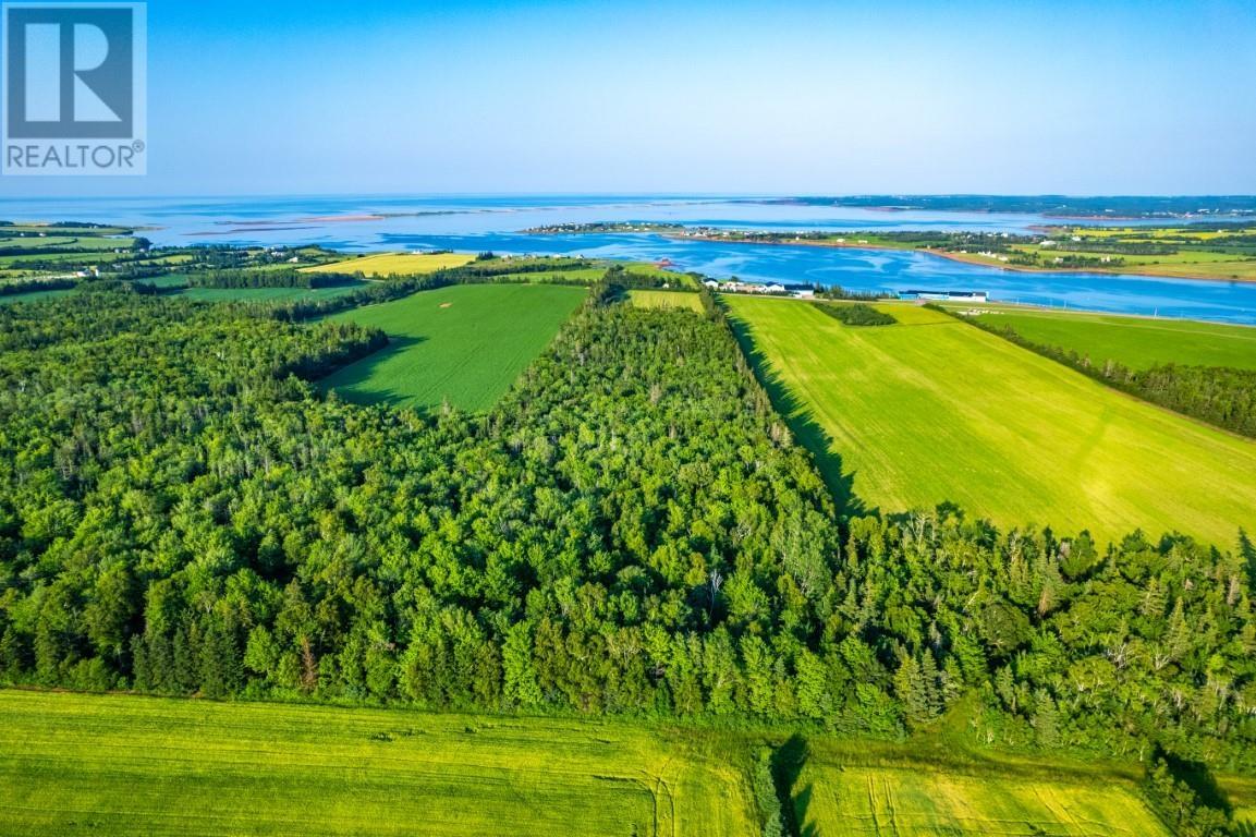 Route 20, Springbrook, Prince Edward Island  C0B 1M0 - Photo 5 - 202527118