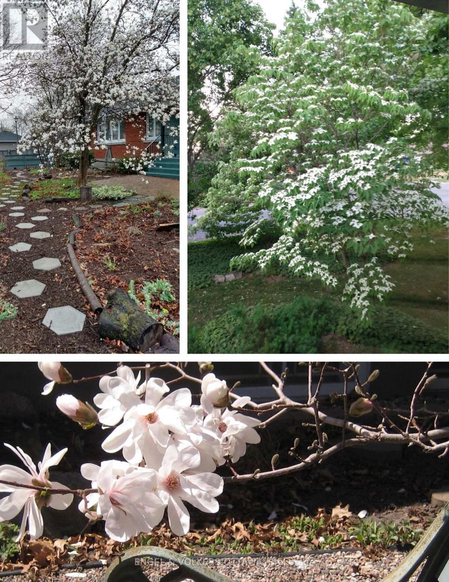 702 Dovercourt Avenue, Ottawa, Ontario K2A 0W7 - Photo 31 - X12814458