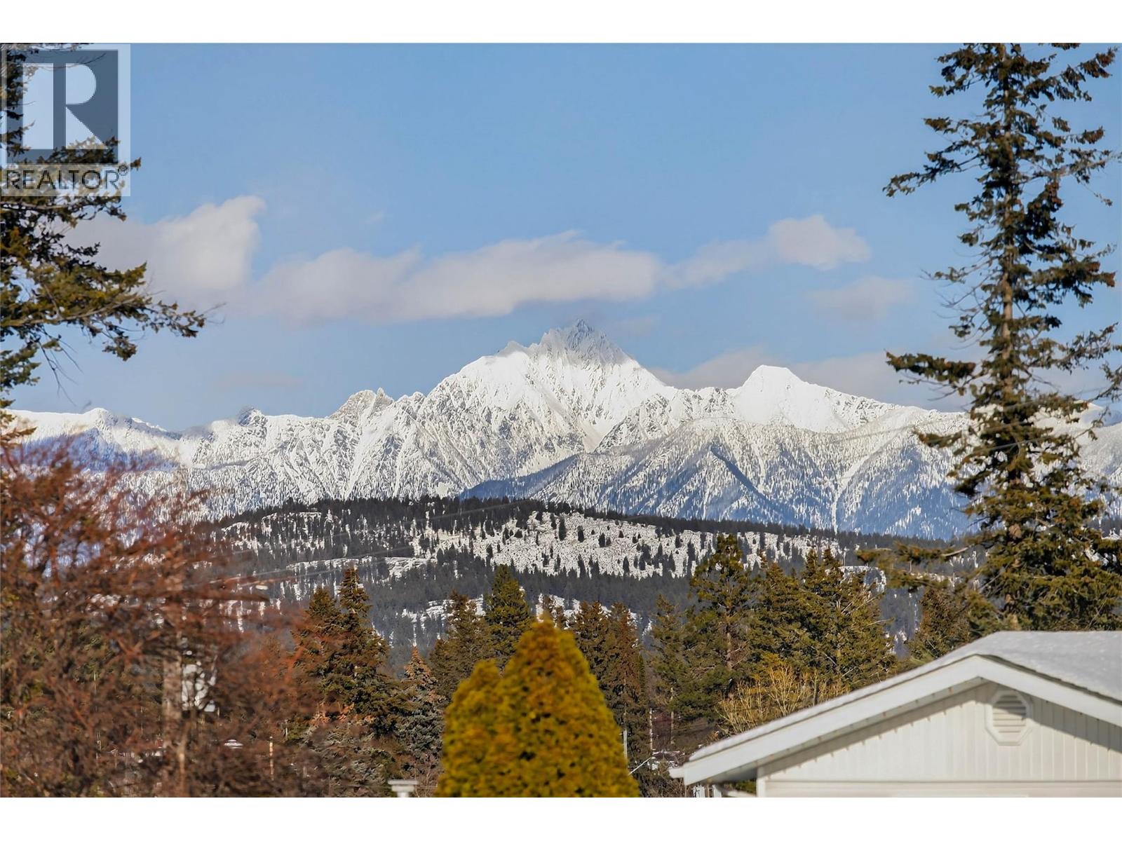 209 14th Street S, Cranbrook, British Columbia  V1C 1X8 - Photo 3 - 10376822