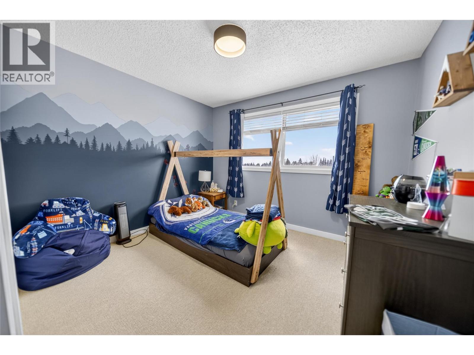 209 14th Street S, Cranbrook, British Columbia  V1C 1X8 - Photo 17 - 10376822