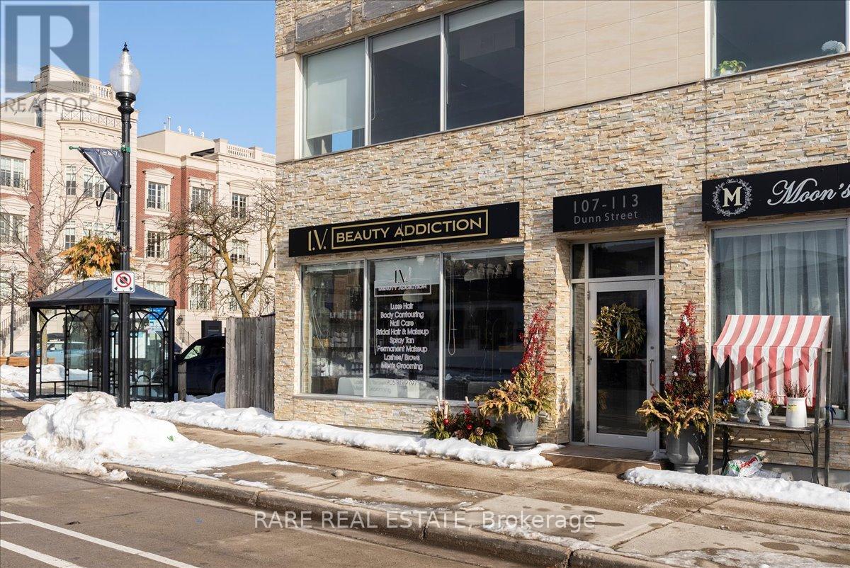 113 Dunn Street N, Oakville, Ontario  L6J 3C9 - Photo 25 - W12826928