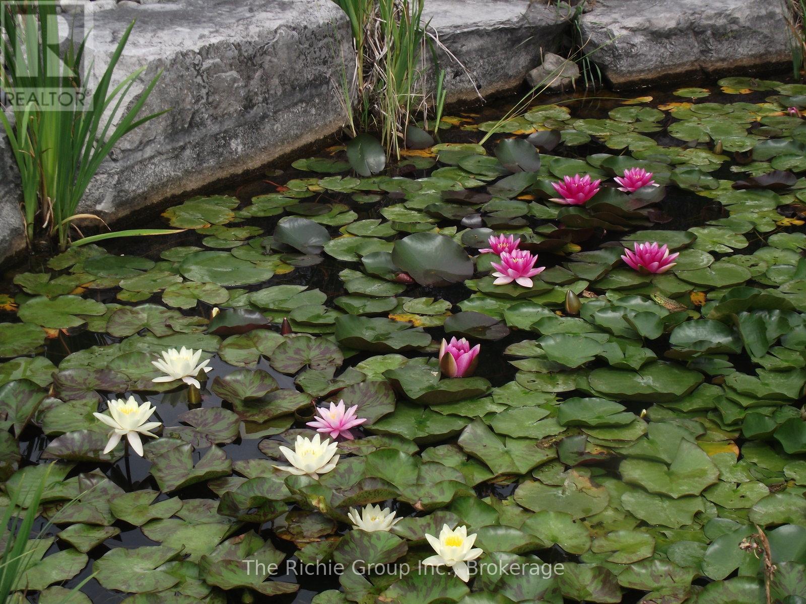 954461 7th Line Ehs Road, Mono, Ontario  L9W 6G1 - Photo 42 - X12826916