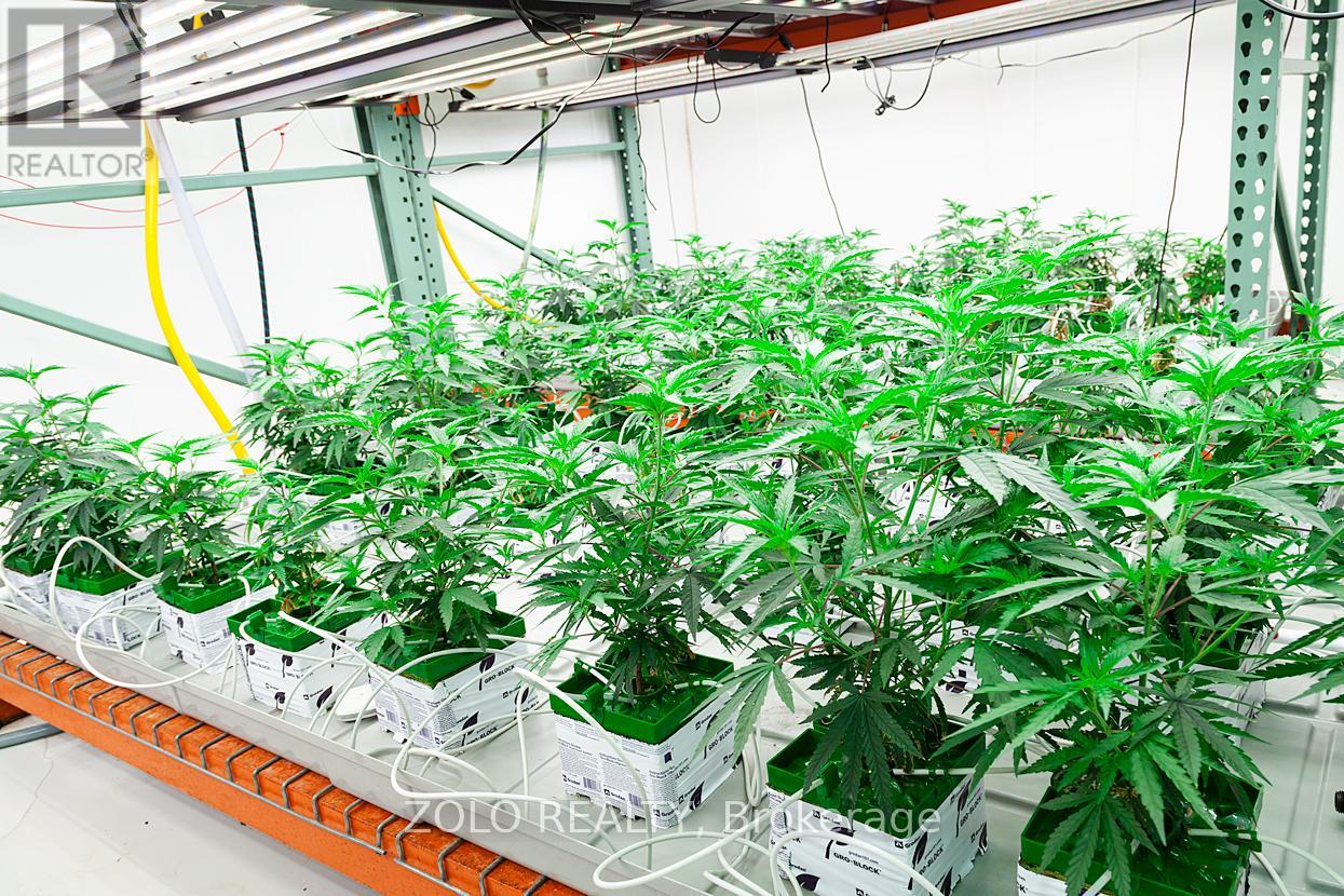 380 Hardy Road, Brantford, Ontario  N3T 5L8 - Photo 11 - X12826918